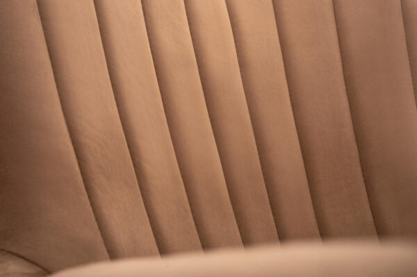 TED fotel - detal (Velluto 30)