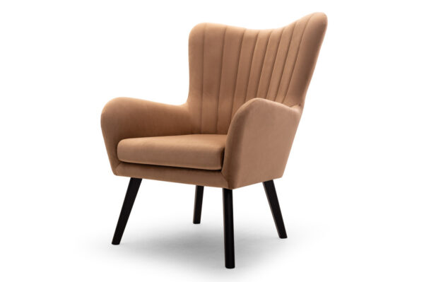 TED fotel - z boku (Velluto 30)(1)
