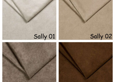 sally-1