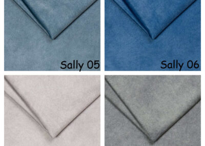 sally-2