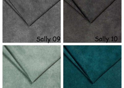 sally-3