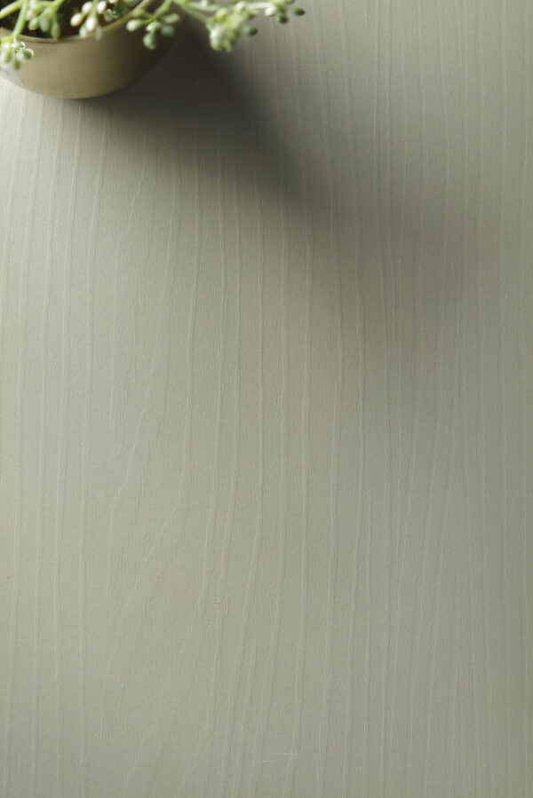 FOREST_dekor_eukaliptus_aranz